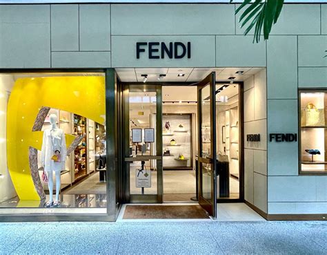 fendi santa cecilia|fendi stores in nj.